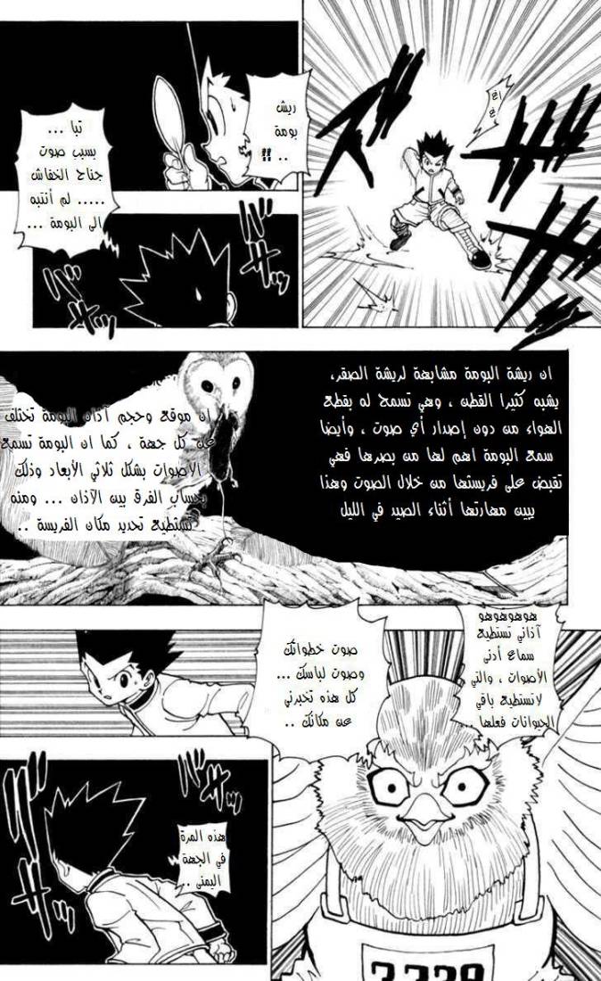 Read Hunter x Hunter AR Manga Online