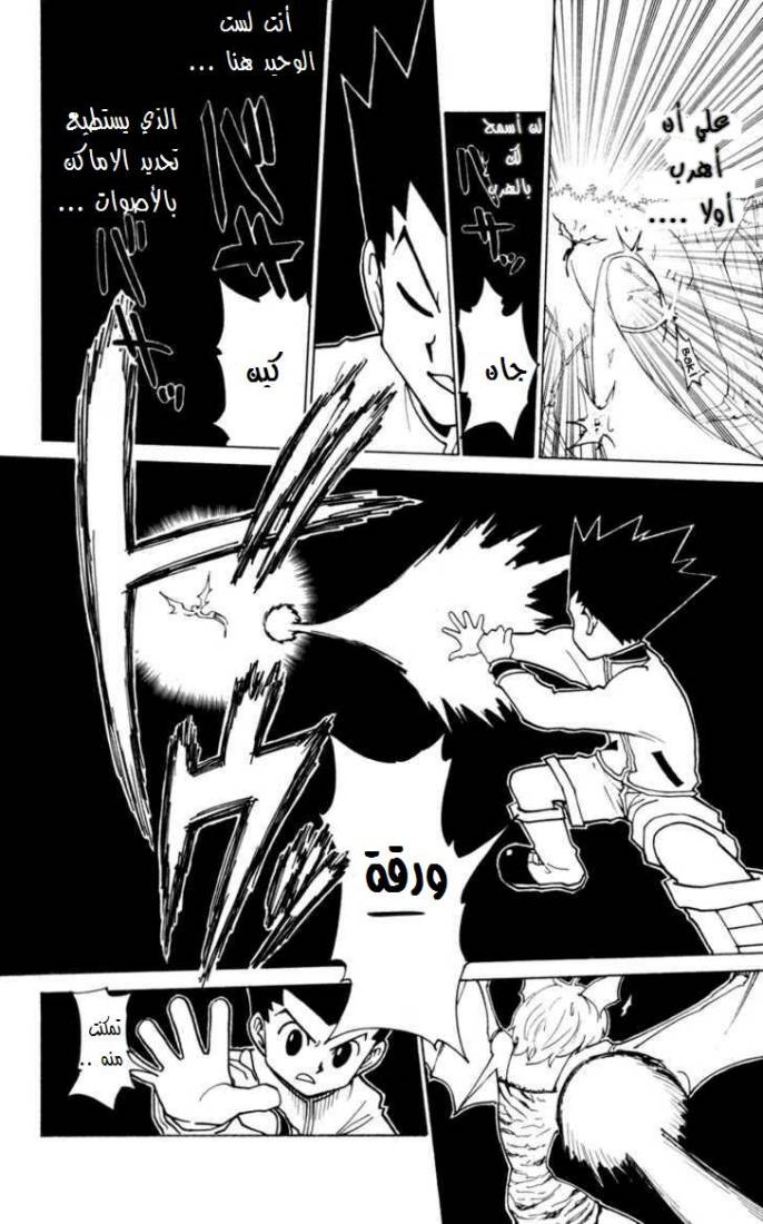 Read Hunter x Hunter AR Manga Online