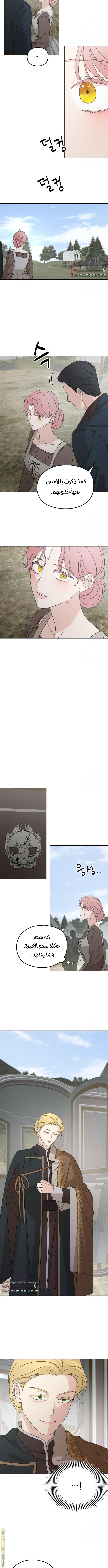 Read My in laws are obsessed with me AR Manga Online