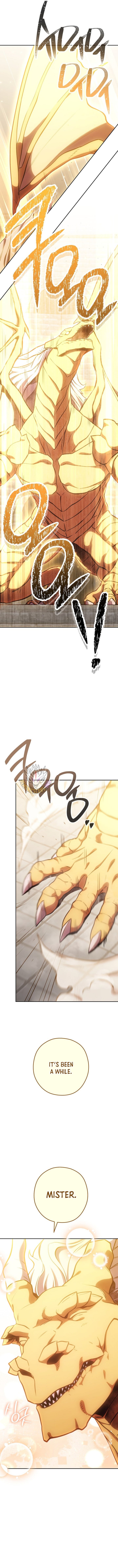 Read Dungeon Reset EN Manga Online