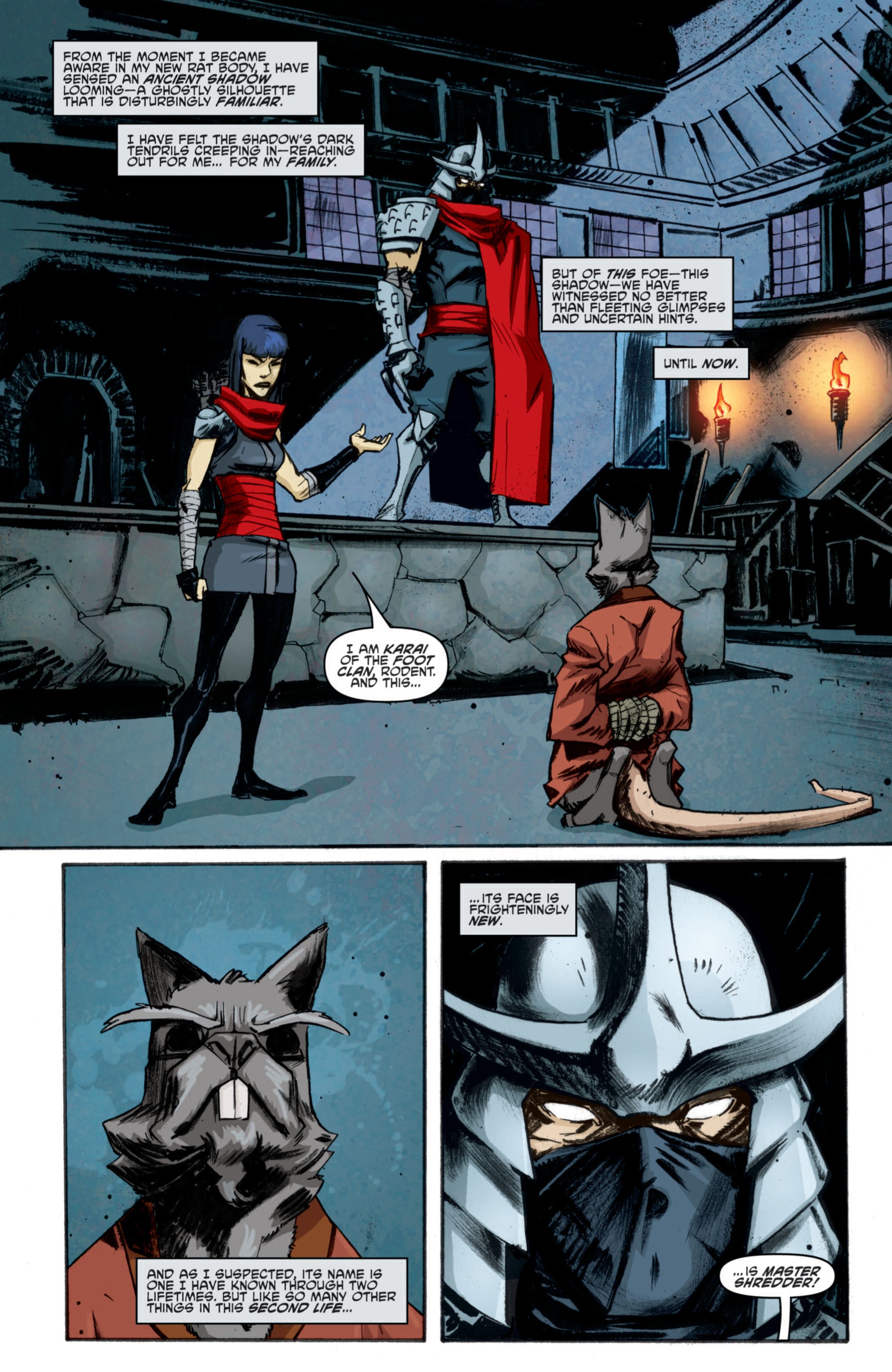 Read Teenage Mutant Ninja Turtles (2011) EN Manga Online