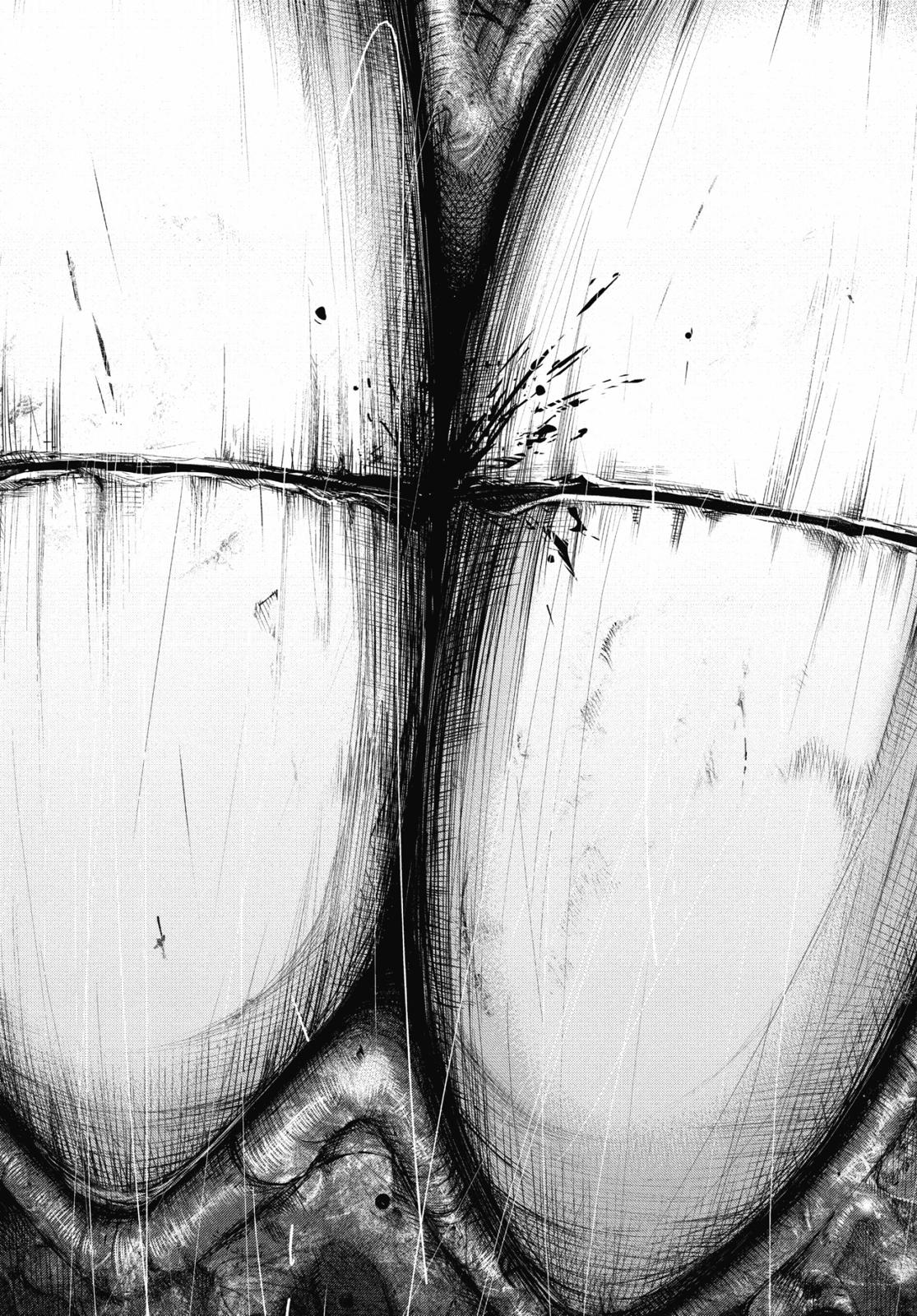 Read Tokyo Ghoul re EN Manga Online