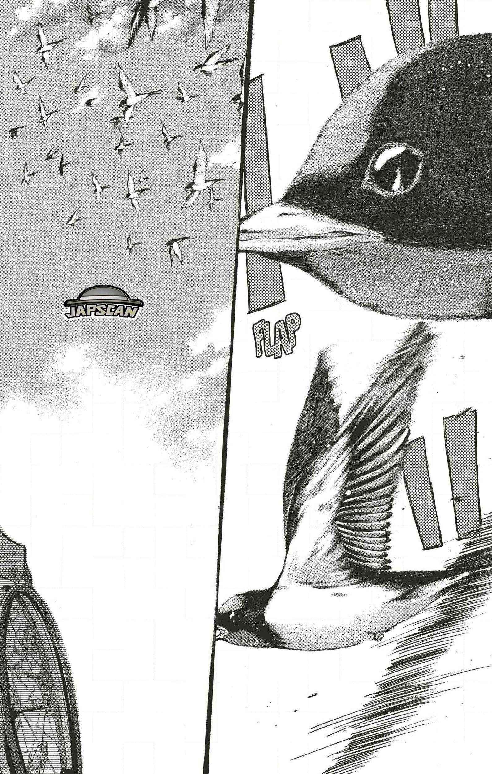 Read Ahiru no Sora FR Manga Online