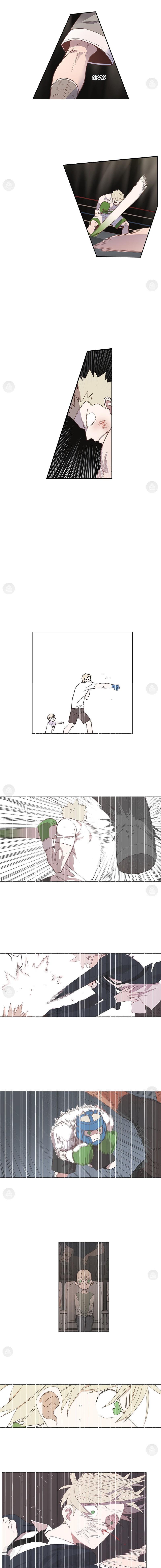 Read The Boxer FR Manga Online