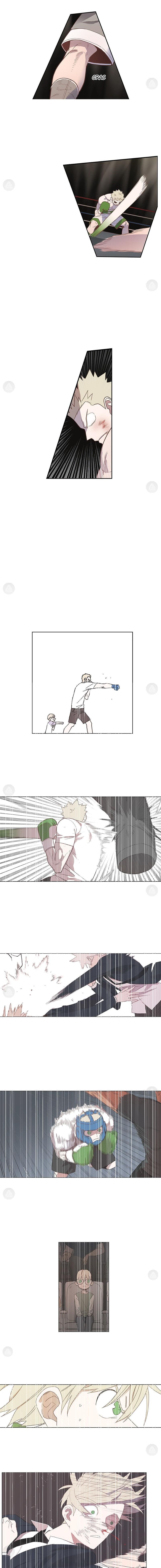 Read The Boxer FR Manga Online