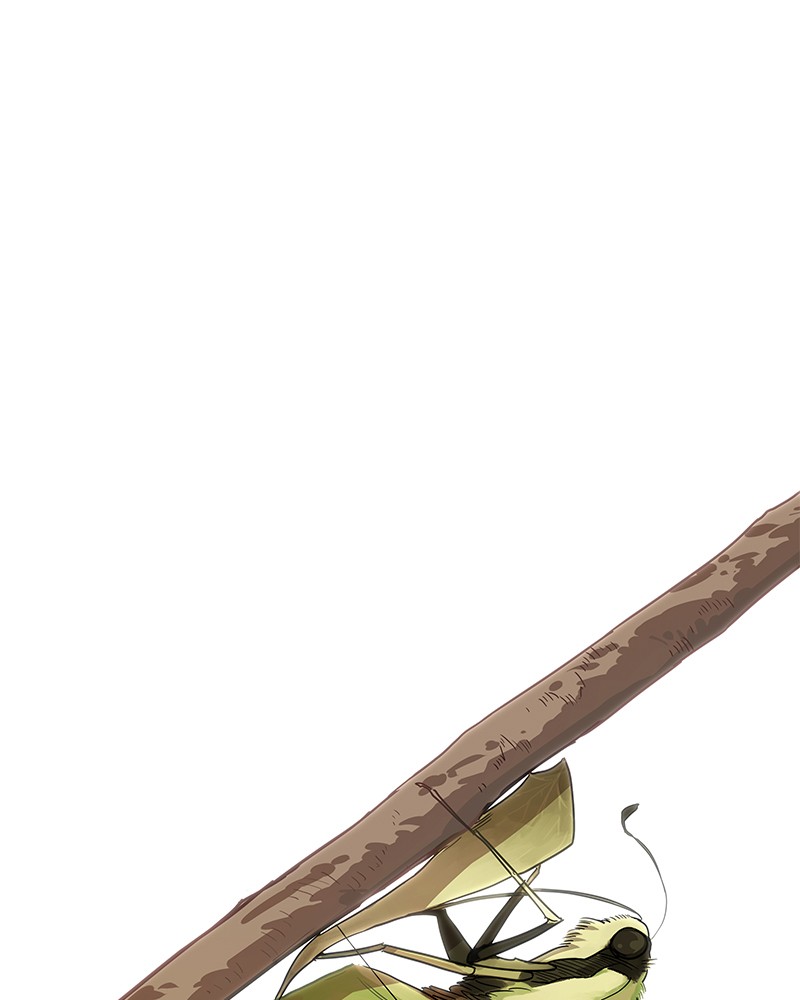 Read The Boxer FR Manga Online