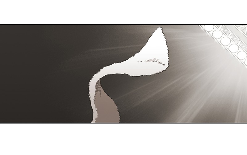 Read The Boxer FR Manga Online