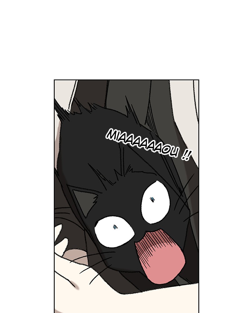 Read The Boxer FR Manga Online