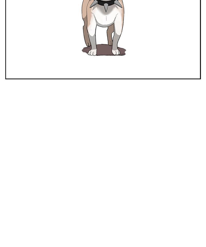 Read The Boxer FR Manga Online