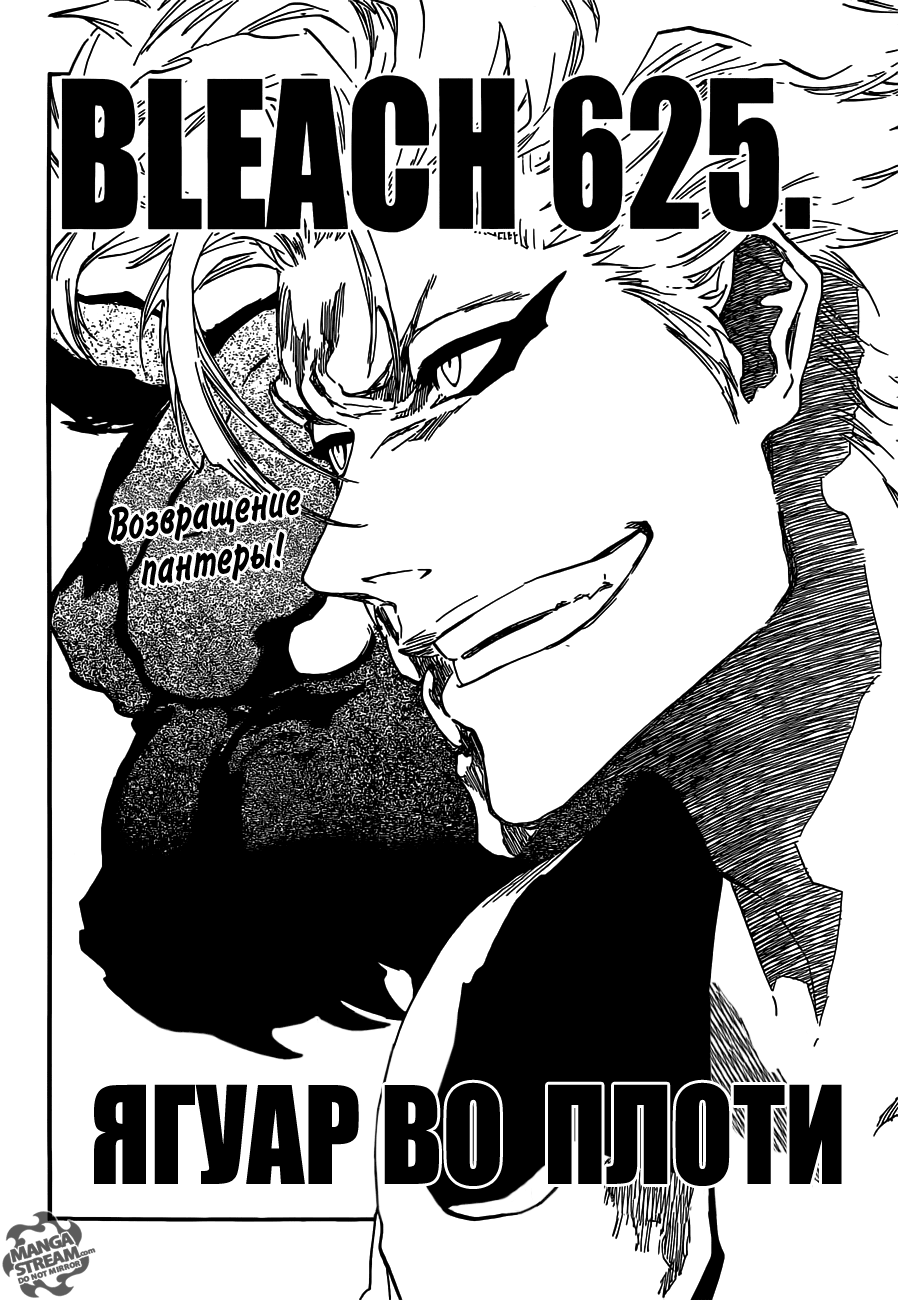 Read Bleach RU Manga Online