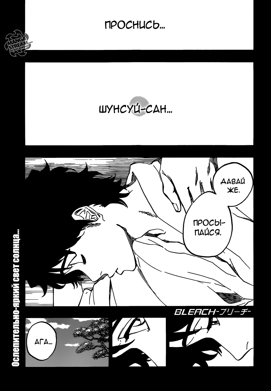 Read Bleach RU Manga Online