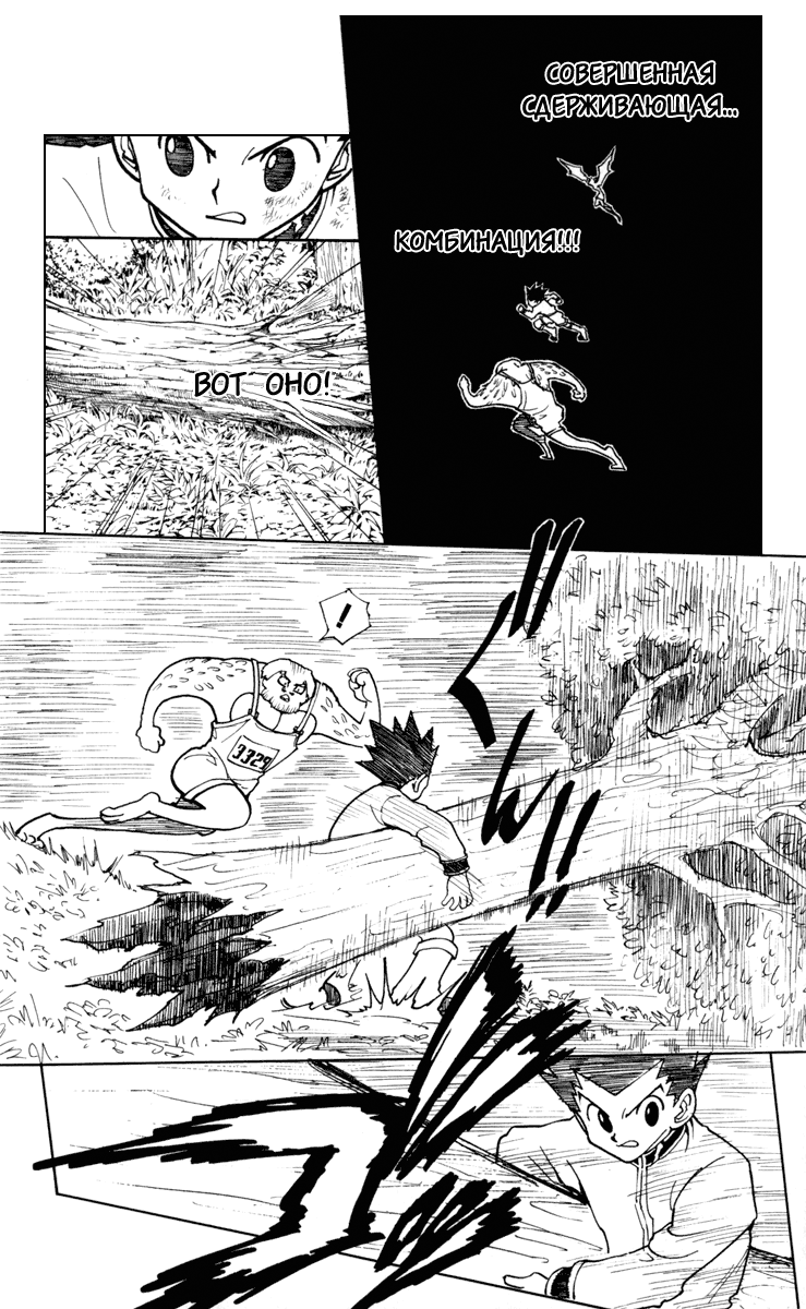 Read Hunter x Hunter RU Manga Online