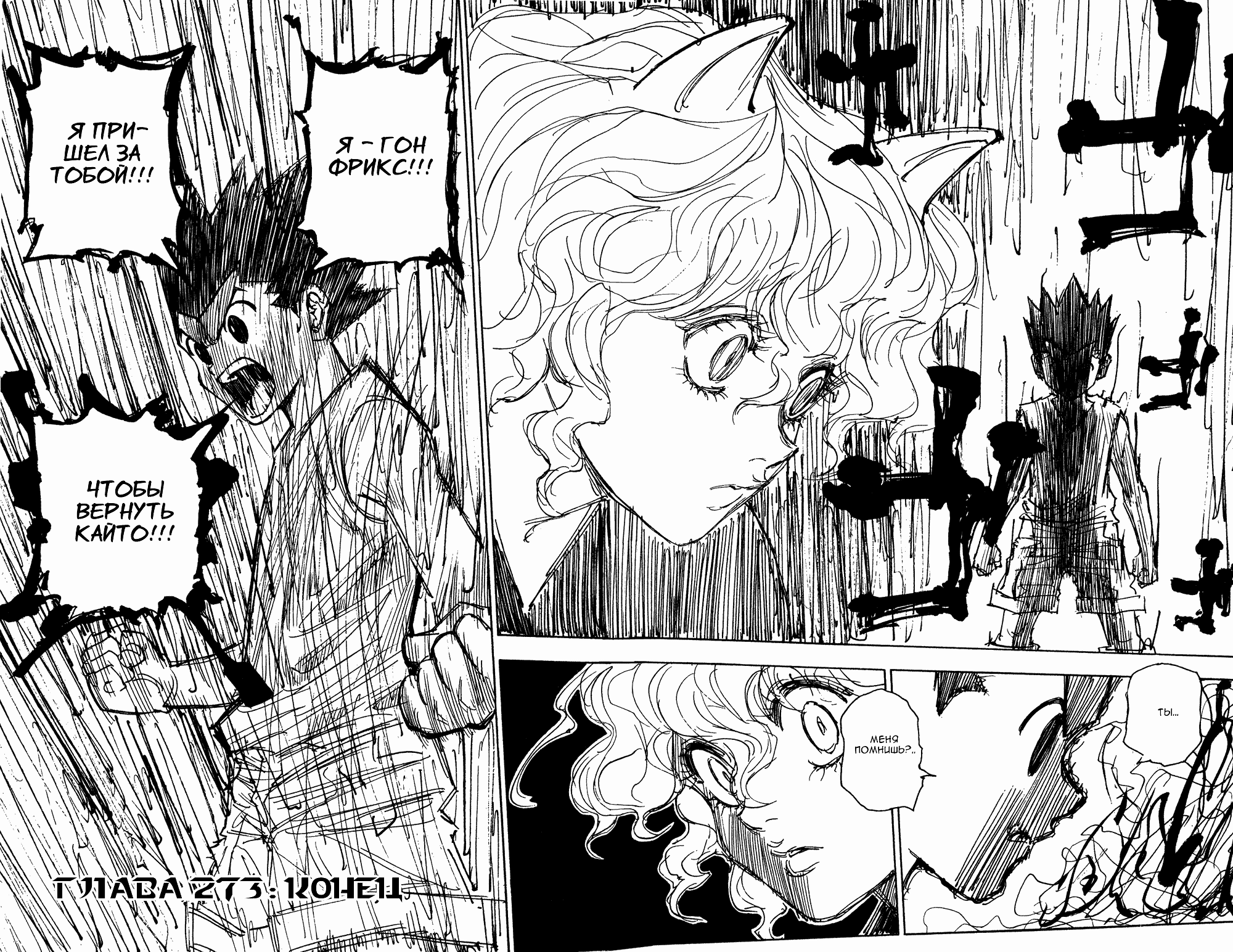 Read Hunter x Hunter RU Manga Online