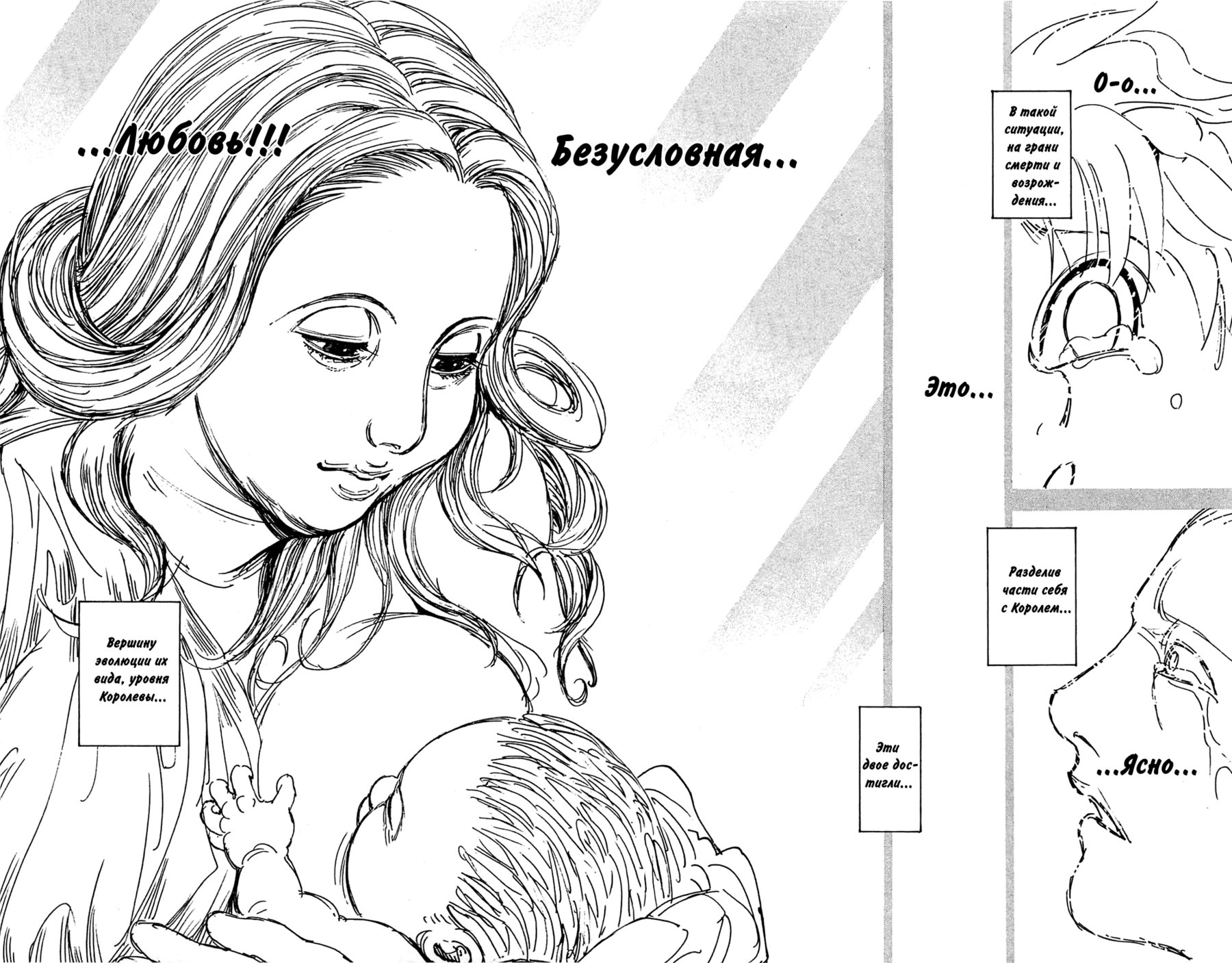 Read Hunter x Hunter RU Manga Online