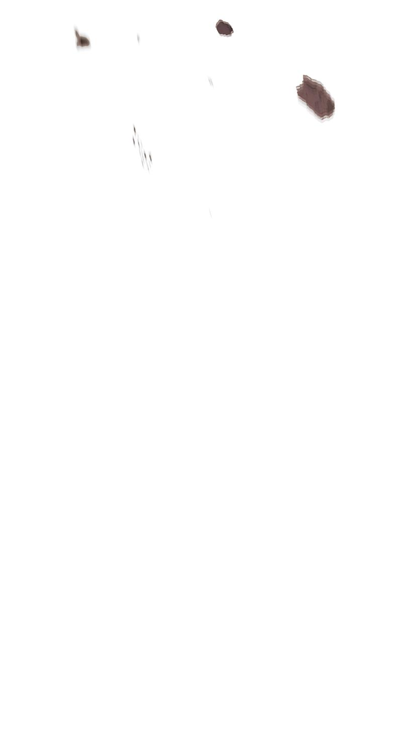 Read Second Life Ranker RU Manga Online