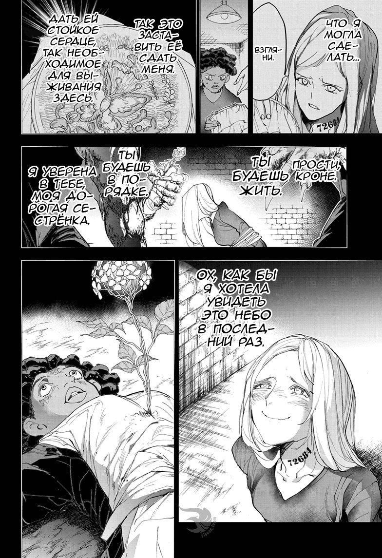 Read The Promised Neverland RU Manga Online