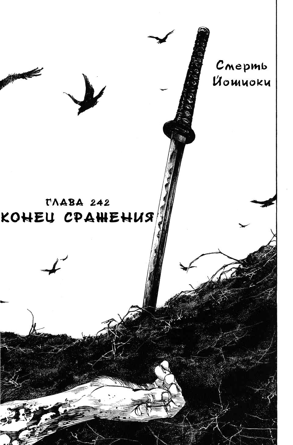 Read Vagabond RU Manga Online