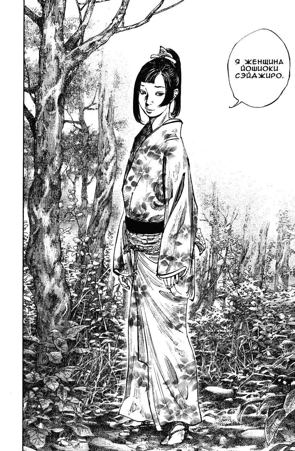 Read Vagabond RU Manga Online