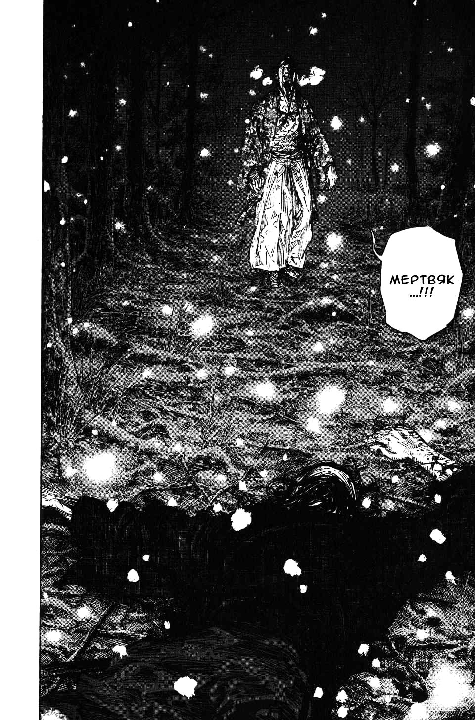 Read Vagabond RU Manga Online