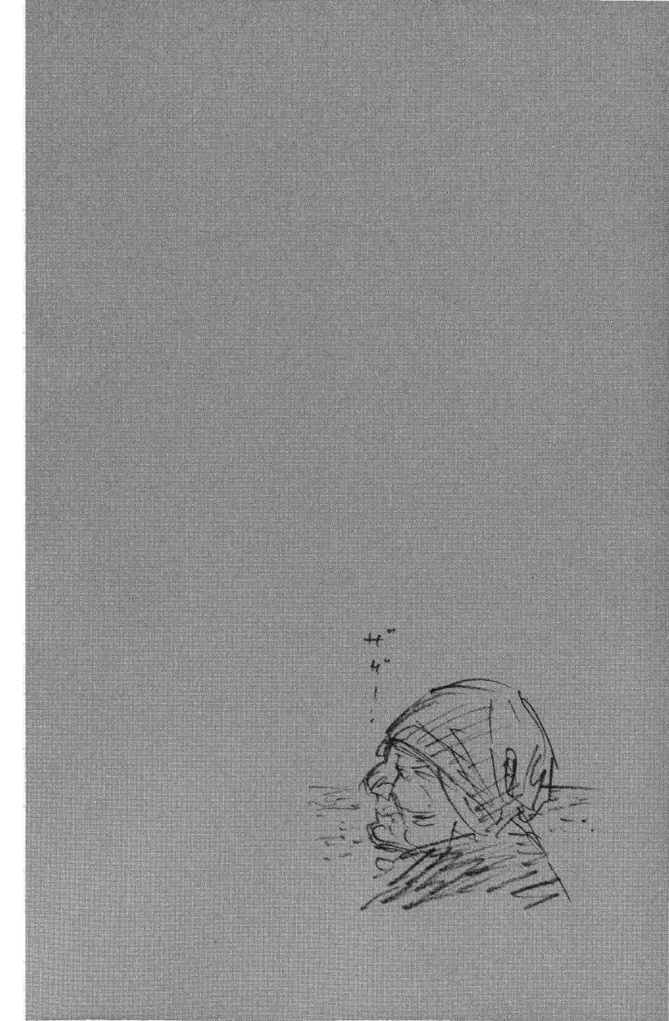 Read Vagabond RU Manga Online