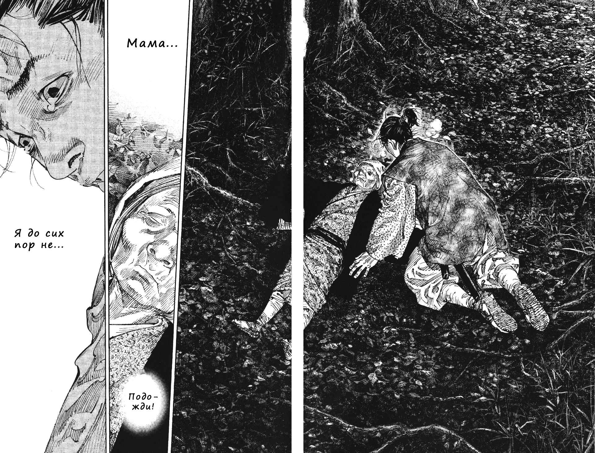 Read Vagabond RU Manga Online