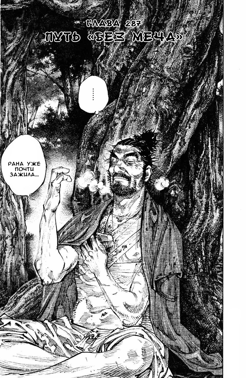Read Vagabond RU Manga Online