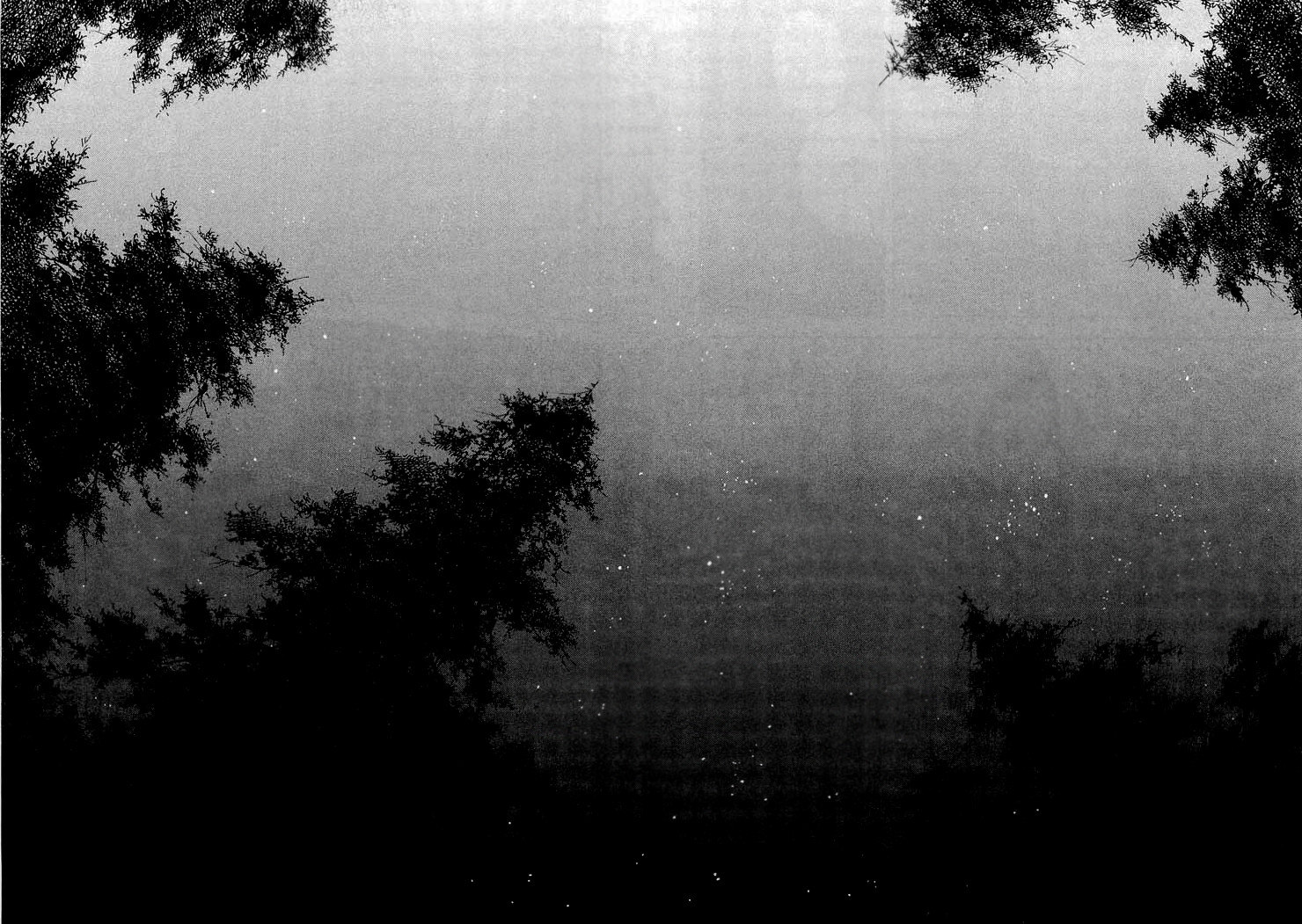 Read Vagabond RU Manga Online