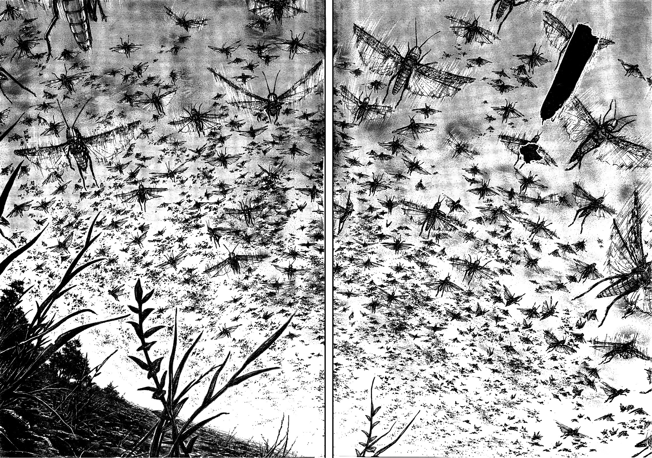 Read Vagabond RU Manga Online