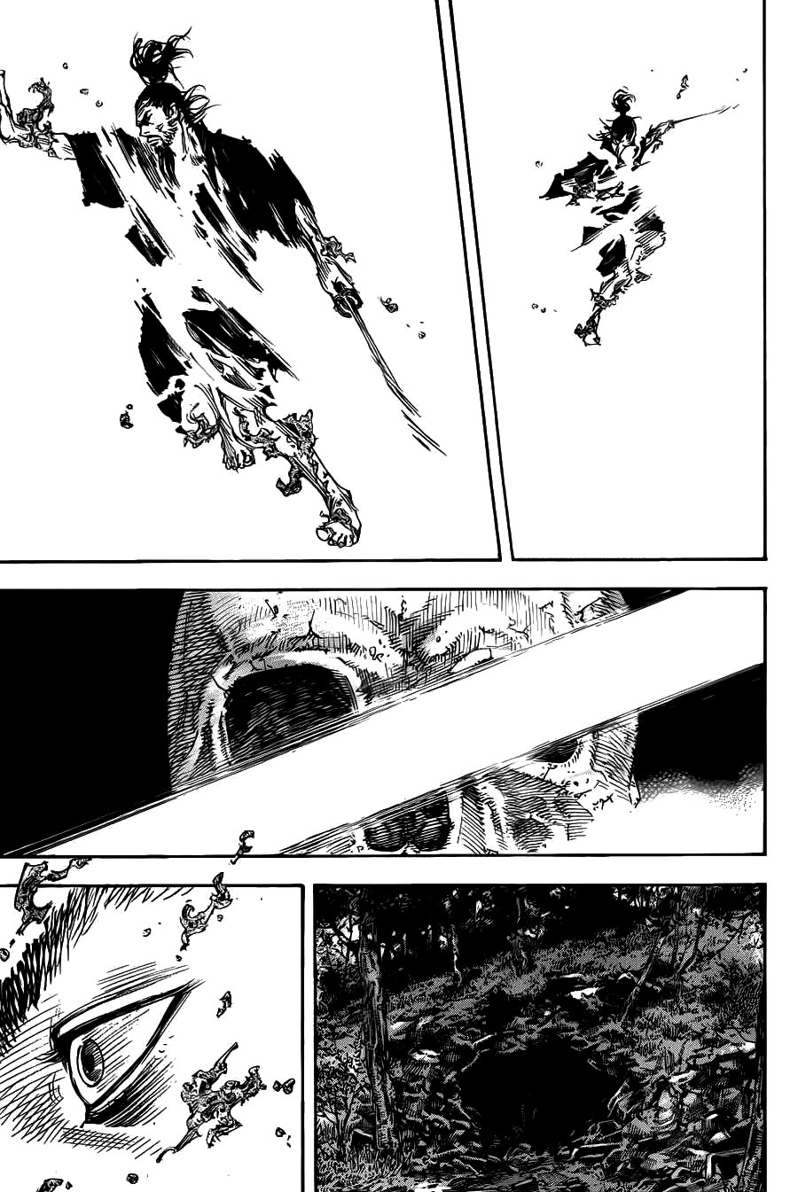 Read Vagabond RU Manga Online