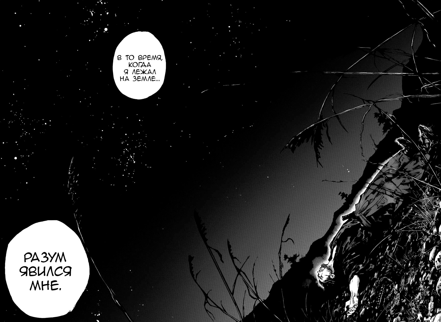 Read Vagabond RU Manga Online