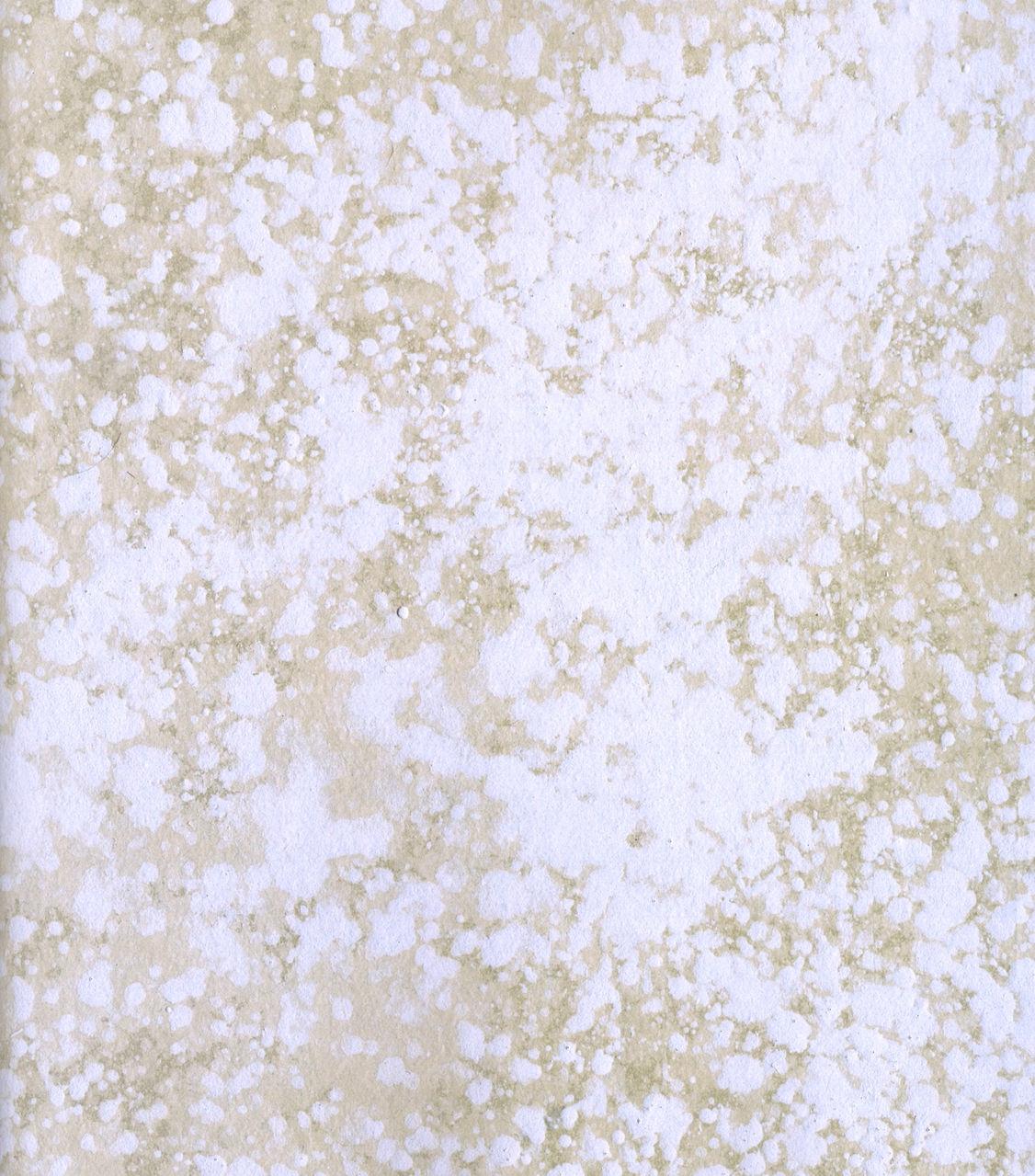 Read Vagabond RU Manga Online